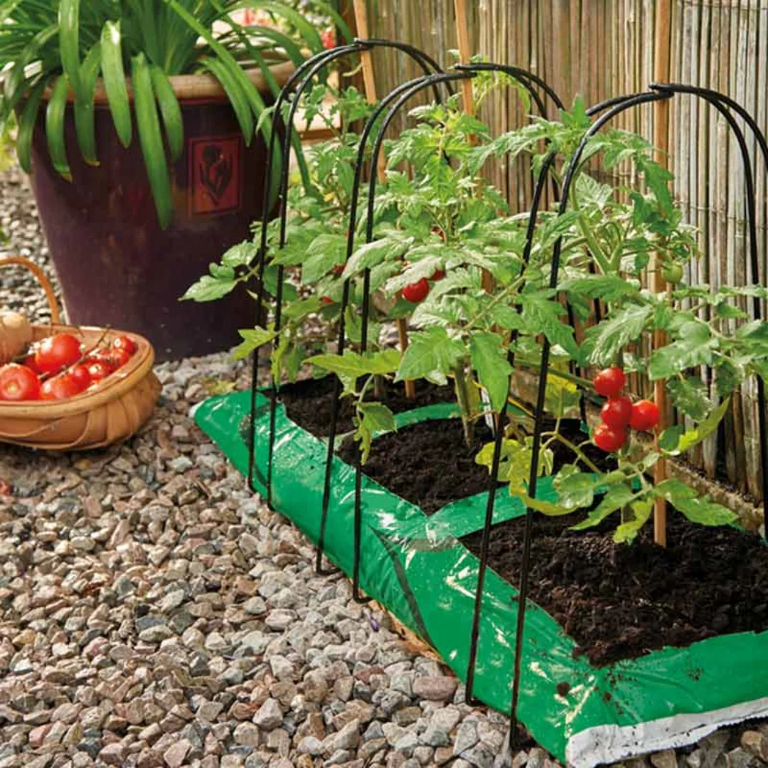 Grow Bag Cane Support Frame – 3 Pack - Image 3