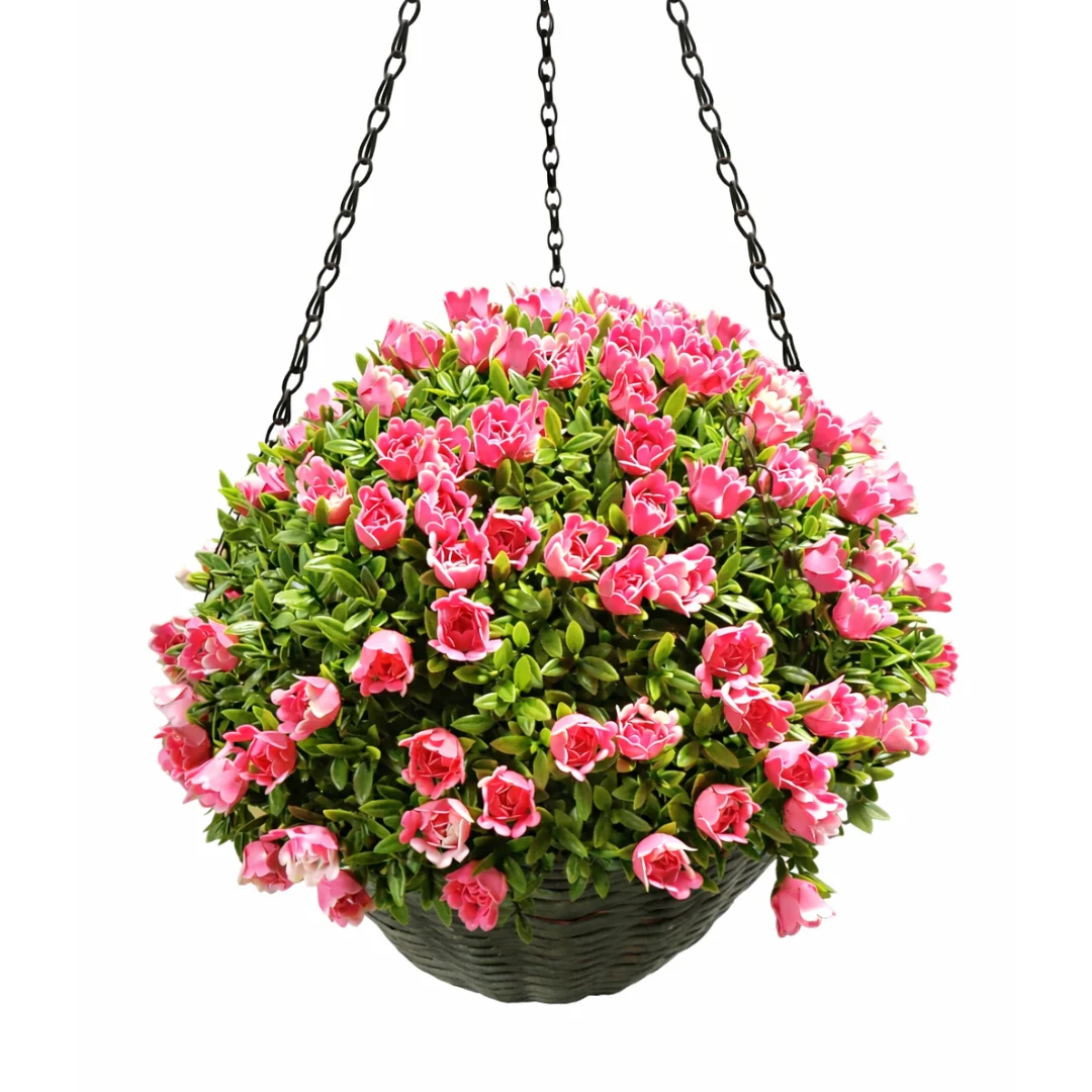 Hanging Basket Aptenia and Rose
