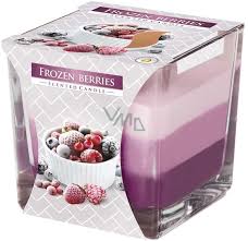 Tri-Colored Frozen Berries 2-Wick Candle 170g